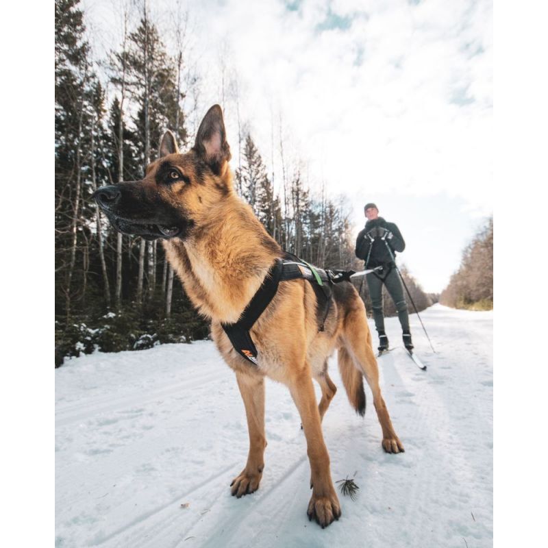 Non-stop dogwear Freemotion Dog harness