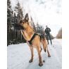 Non-stop dogwear Freemotion - Arnês para cachorro | Hardloop