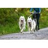 Non-stop dogwear Freemotion - Arnês para cachorro | Hardloop