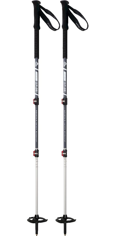 Msr store hiking pole