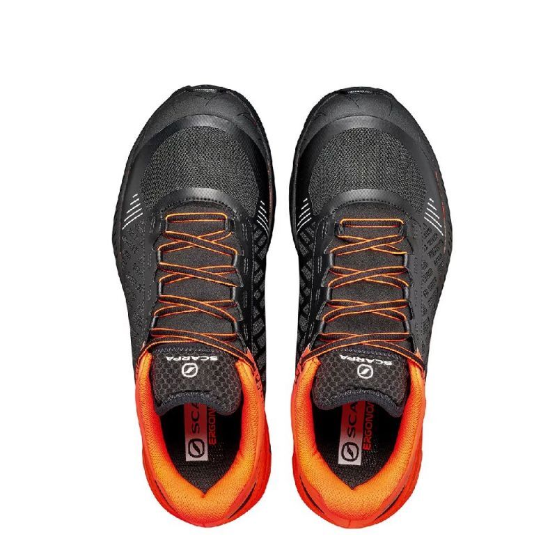 Scarpa Spin Ultra GTX - Buty trailowe meskie | Hardloop