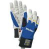 Royal blue / Yellow