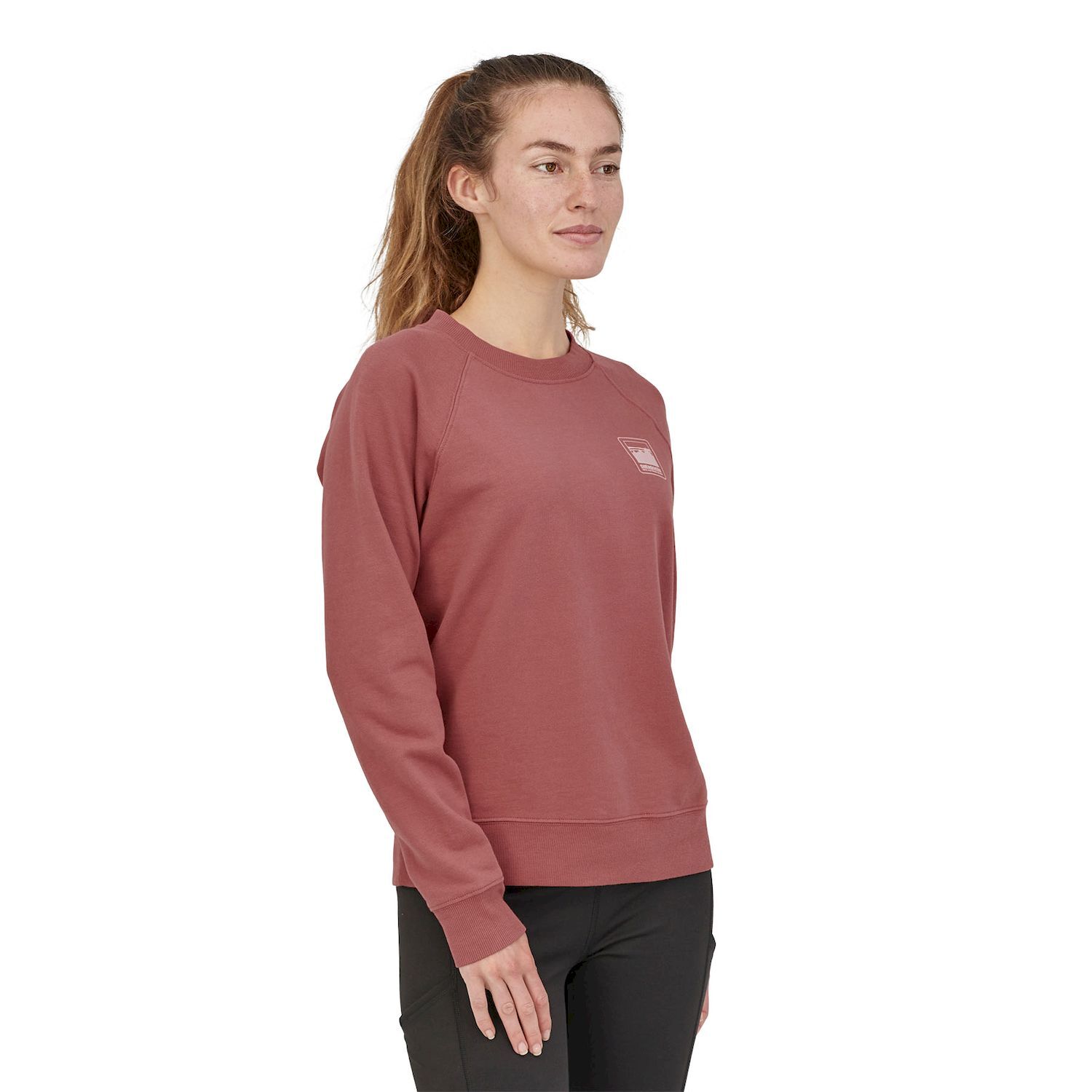 Patagonia Alpine Icon Regenerative Organic Pilot Cotton Crew - Bluza (bez kaptura) damska | Hardloop