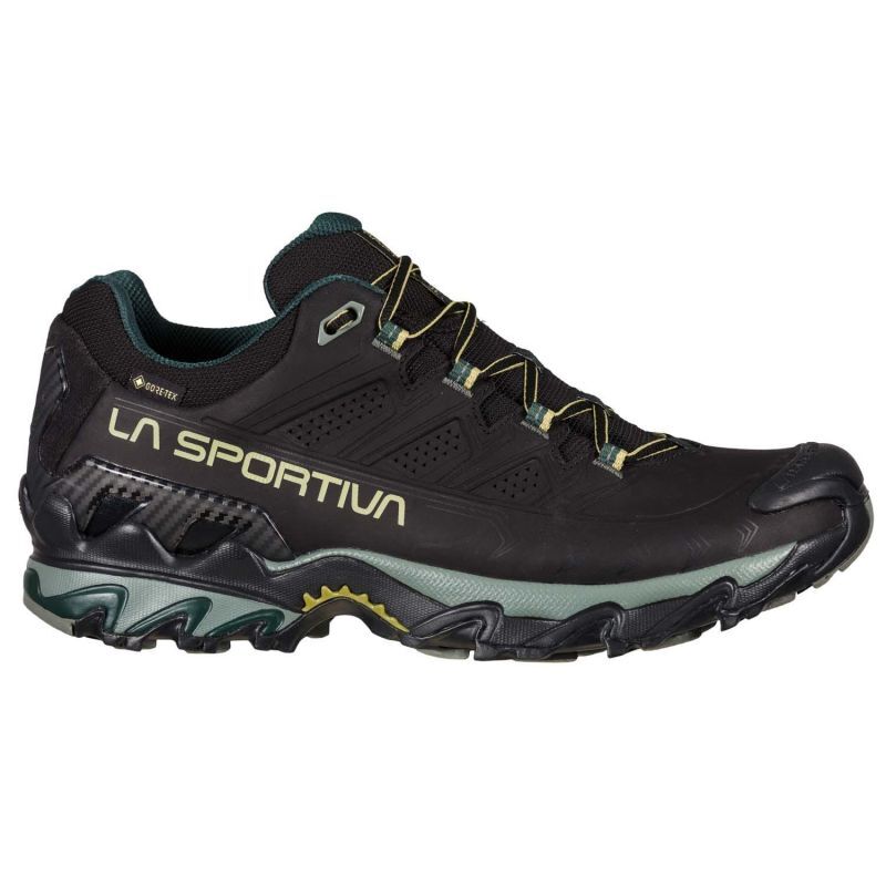 Ultra Raptor II Leather GTX - Walking shoes - Men's