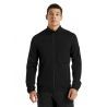 Icebreaker Elemental LS Zip - Merino Fleece jacket - Men's I Hardloop