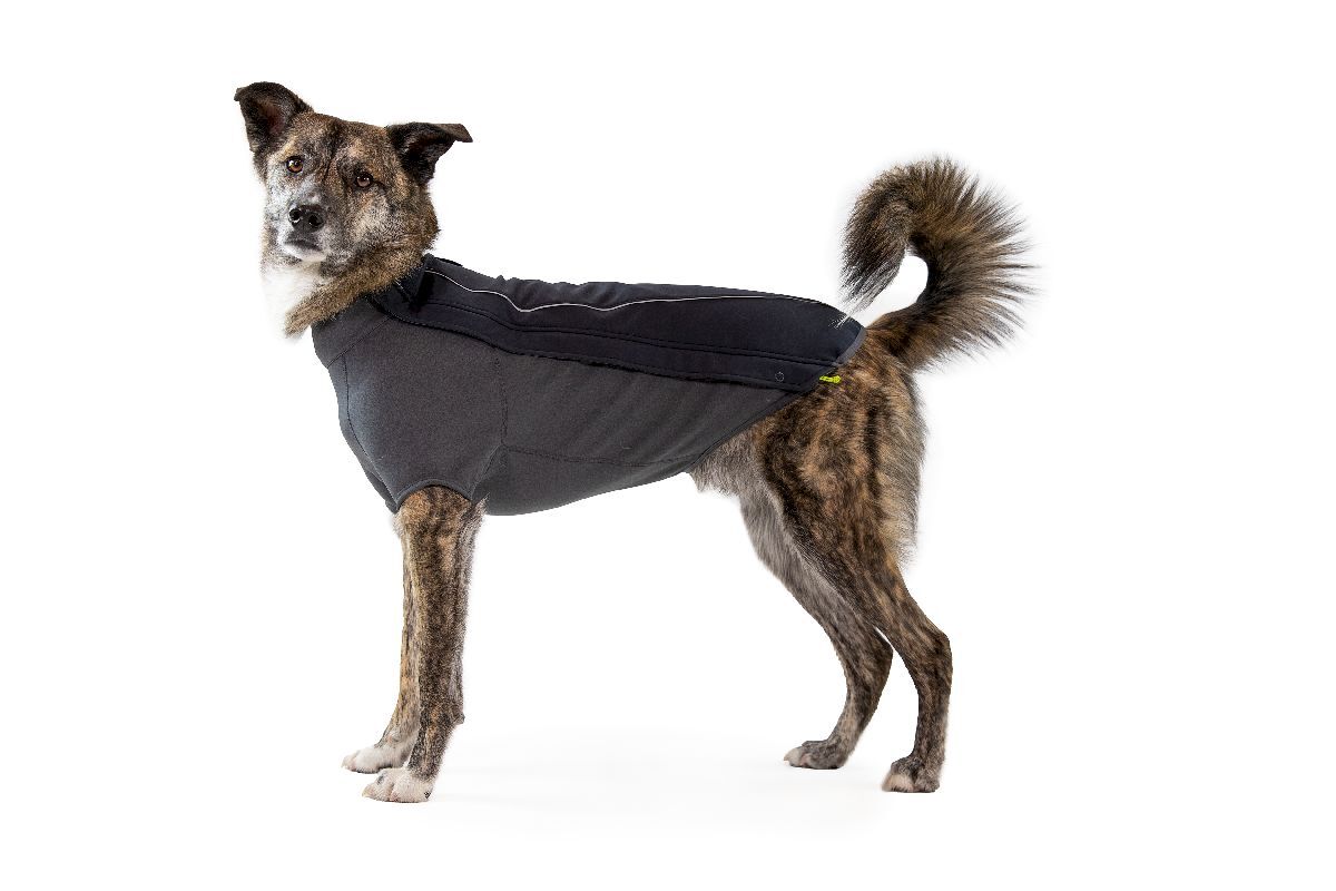 Ruffwear Cloud Chaser Soft Shell Jacket - Giacca per cani