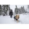 Ruffwear Cloud Chaser Soft Shell Jacket - Giacca per cani