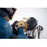 Ruffwear Cloud Chaser Soft Shell Jacket - Giacca per cani