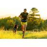 Ruffwear Trail Runner System - Dog walking belt