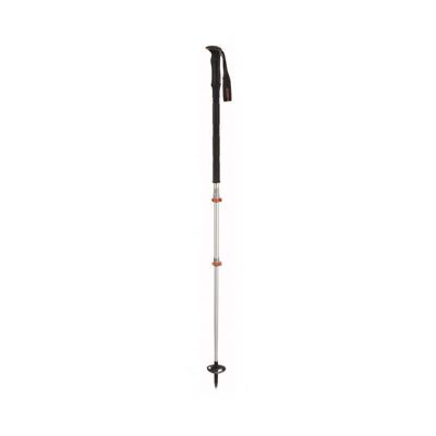 Titanal Exp Pro - Ski poles