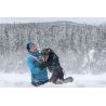 Inlandsis Polar Quest - Harnais pour chien | Hardloop