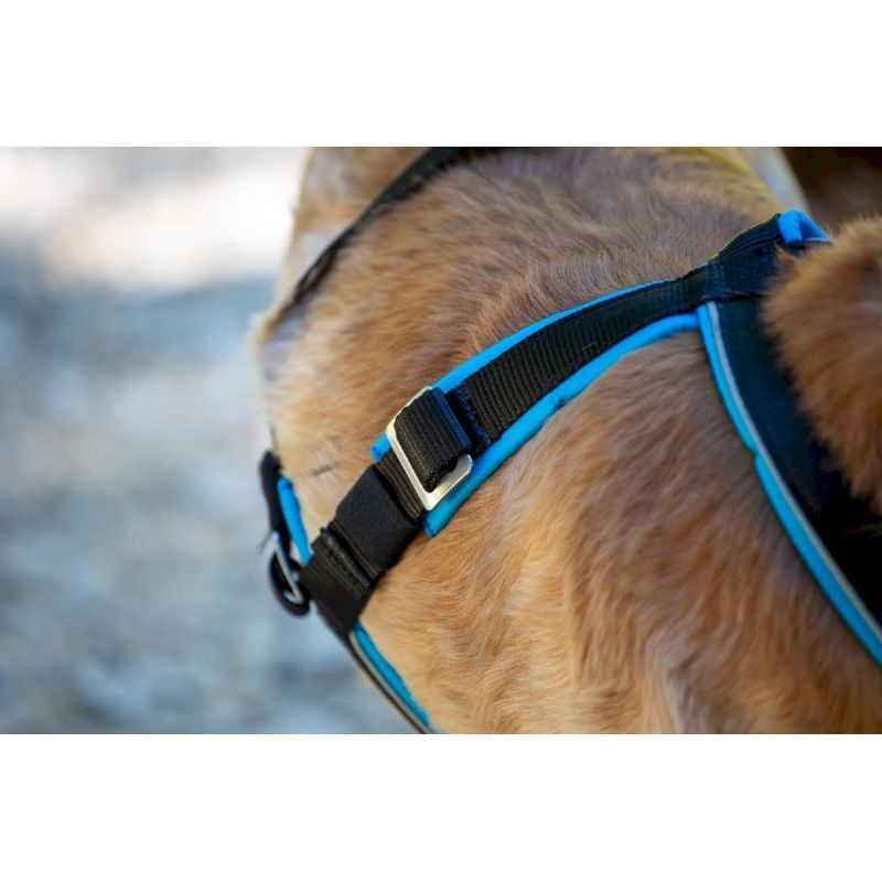 Inlandsis Open Back - Arnês para cachorro | Hardloop