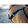 Inlandsis Open Back - Arnês para cachorro | Hardloop