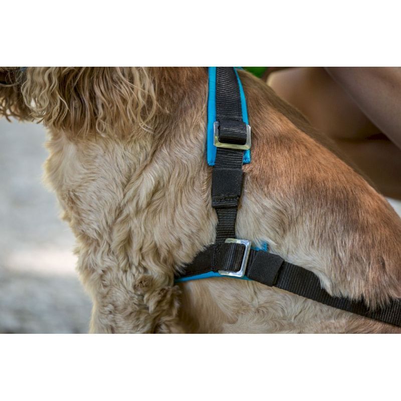 Inlandsis Open Back - Harnais pour chien | Hardloop