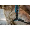 Inlandsis Open Back - Dog harness