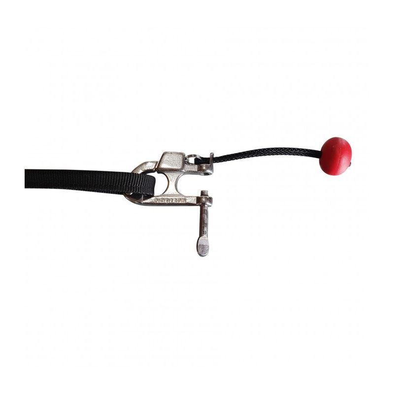 Inlandsis Skijor Pro - Smycz dla psa | Hardloop