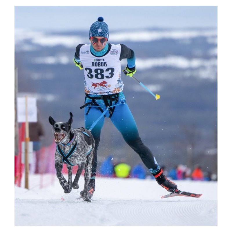 Inlandsis Skijor Pro - Vodítko pro psa | Hardloop