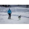 Inlandsis Fast'n Light - Botas para cachorro | Hardloop