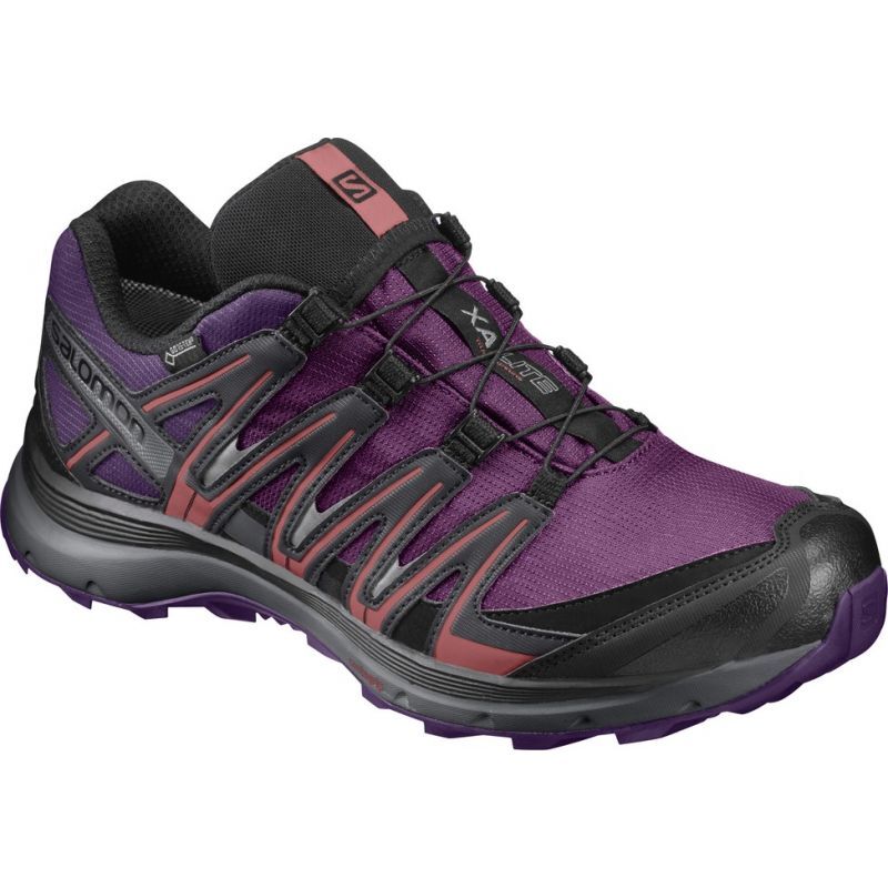 toenemen Intens ontwikkeling Salomon - XA Lite GTX® W - Trail Running shoes - Women's