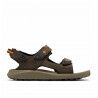 Cordovan / Gold Amber