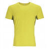 Zest / Aspen Green