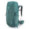 Sagano Green