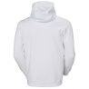Helly Hansen HH Box Hoodie - Hoodie - Men's