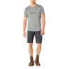 Icebreaker Persist Shorts - Wandelshort - Heren