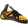 Yellow / Black