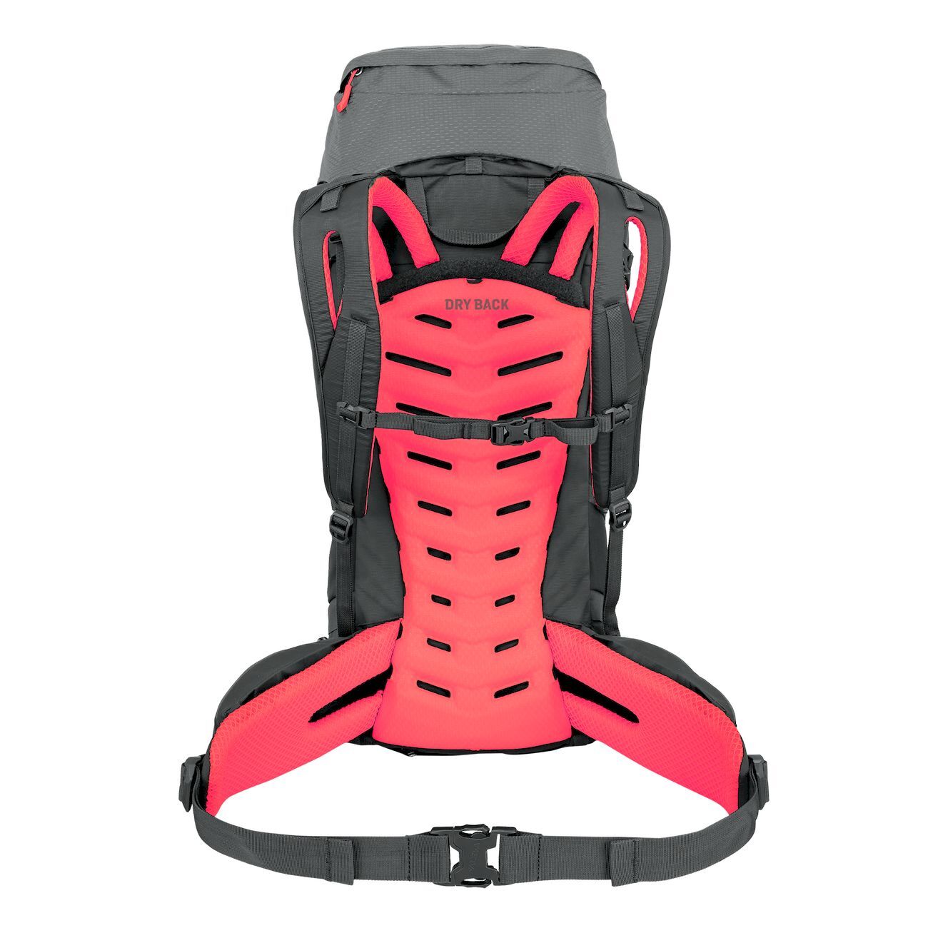 Salewa Alptrek 38 +5 Ws - Plecak trekkingowy damski | Hardloop