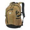 Gold Umber