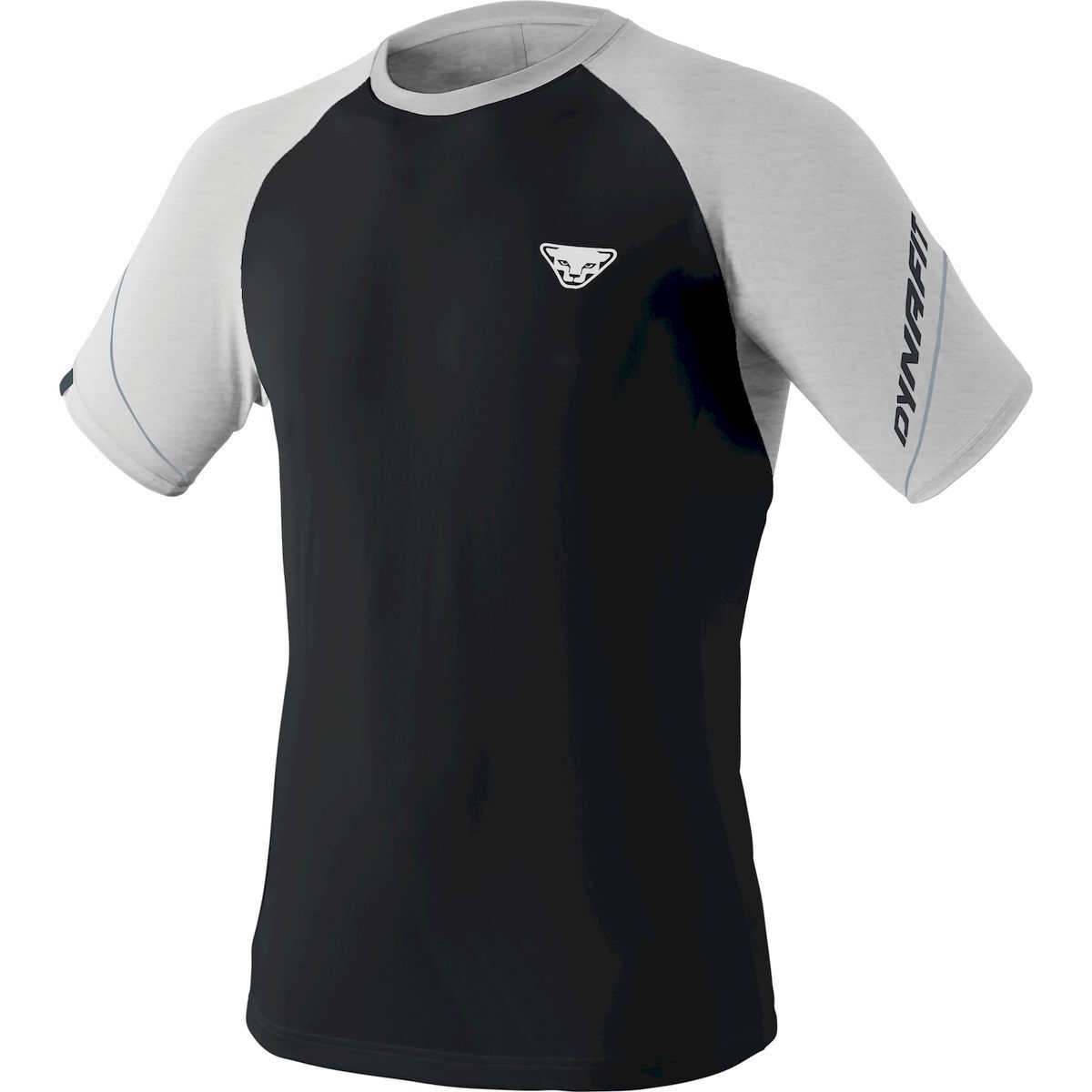 Dynafit Alpine Pro M S/S Tee - T-shirt - Heren