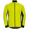 Evening Primrose / Black