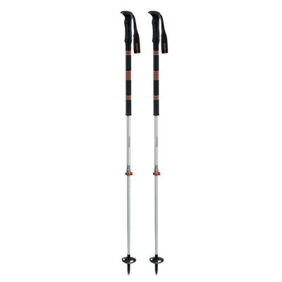 Contour Titanal 2 Foam - Ski poles
