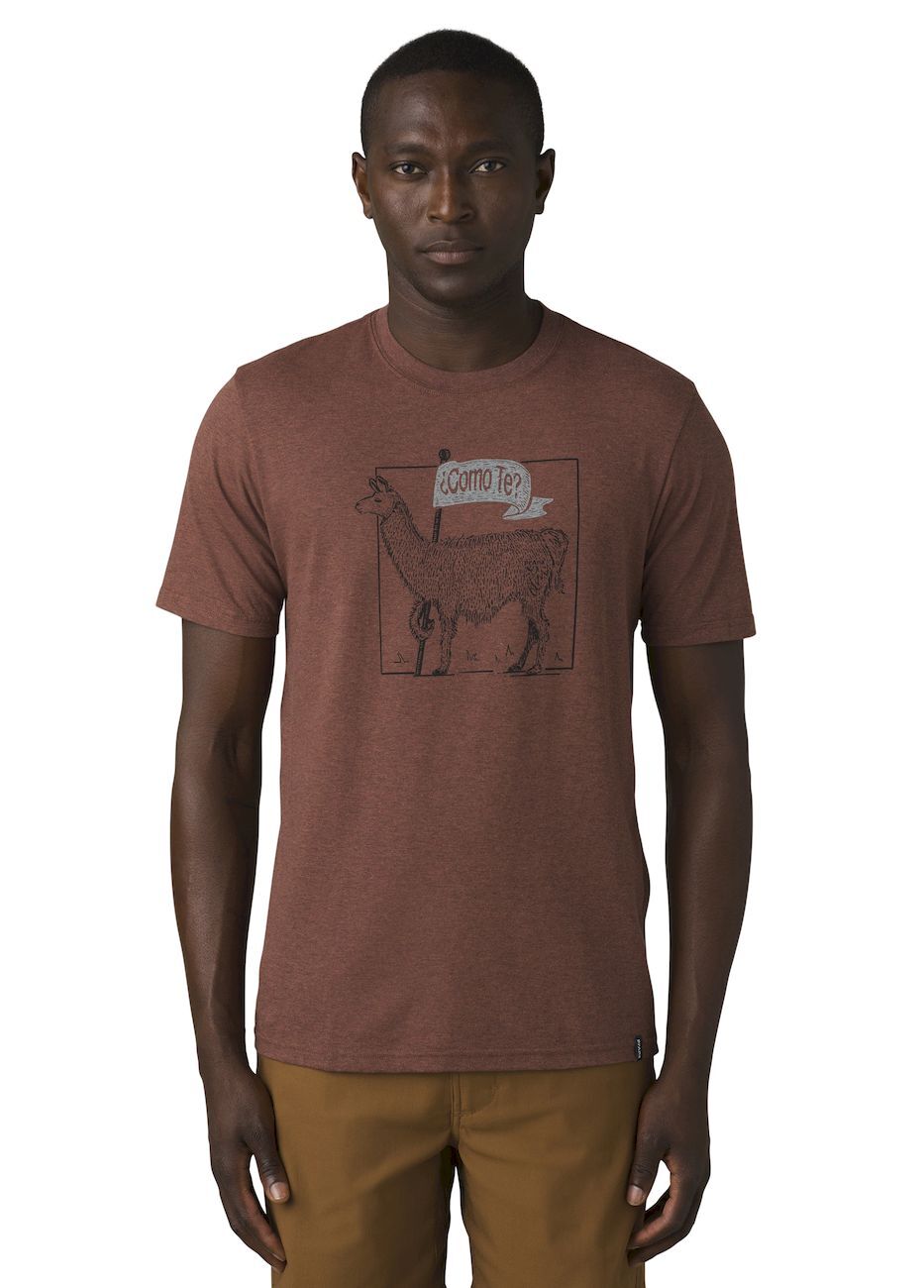 Prana Como Te Llama Journeyman 2 - T-shirt - Heren