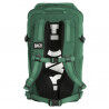 Pine Green