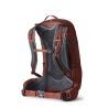 Gregory Citro 30 - Mochila de caminhada homem | Hardloop