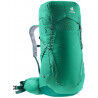 Fern / Alpinegreen
