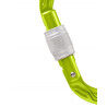 Edelrid Oval Power 2500 Screw II - Mousqueton | Hardloop