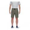 Iguana