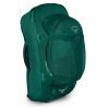 Rainforest Green