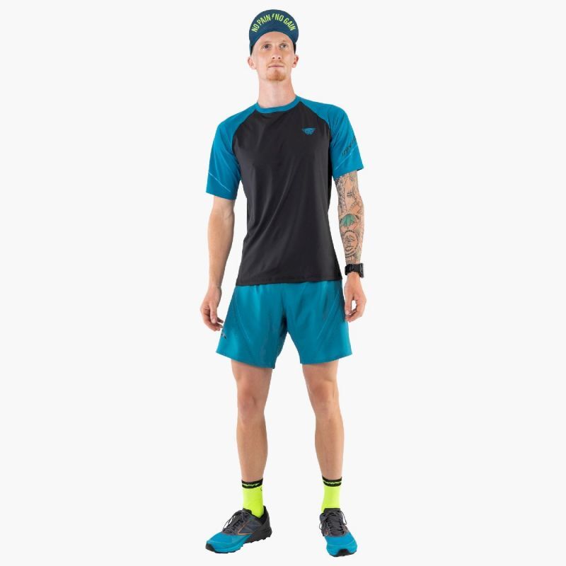 Dynafit Alpine Pro M S/S Tee - T-shirt homme | Hardloop