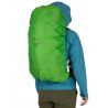 Osprey Sirrus 36 - Plecak turystyczny damski | Hardloop