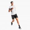 Dynafit - Alpine Pro 2/1 Shorts - Pantalón corto running - Hombre