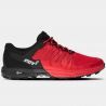 Red / Black