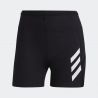 Adidas Terrex AGR Pro Short - Running shorts - Women's