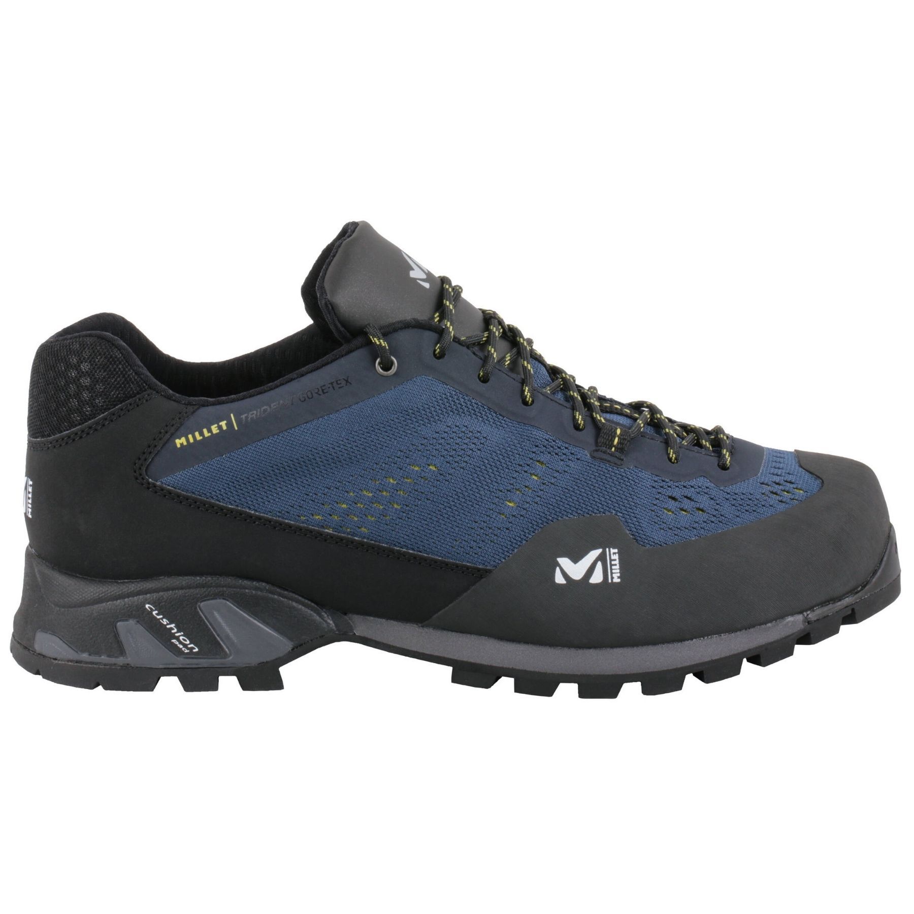 Millet Trident GTX - Walking shoes - Men's