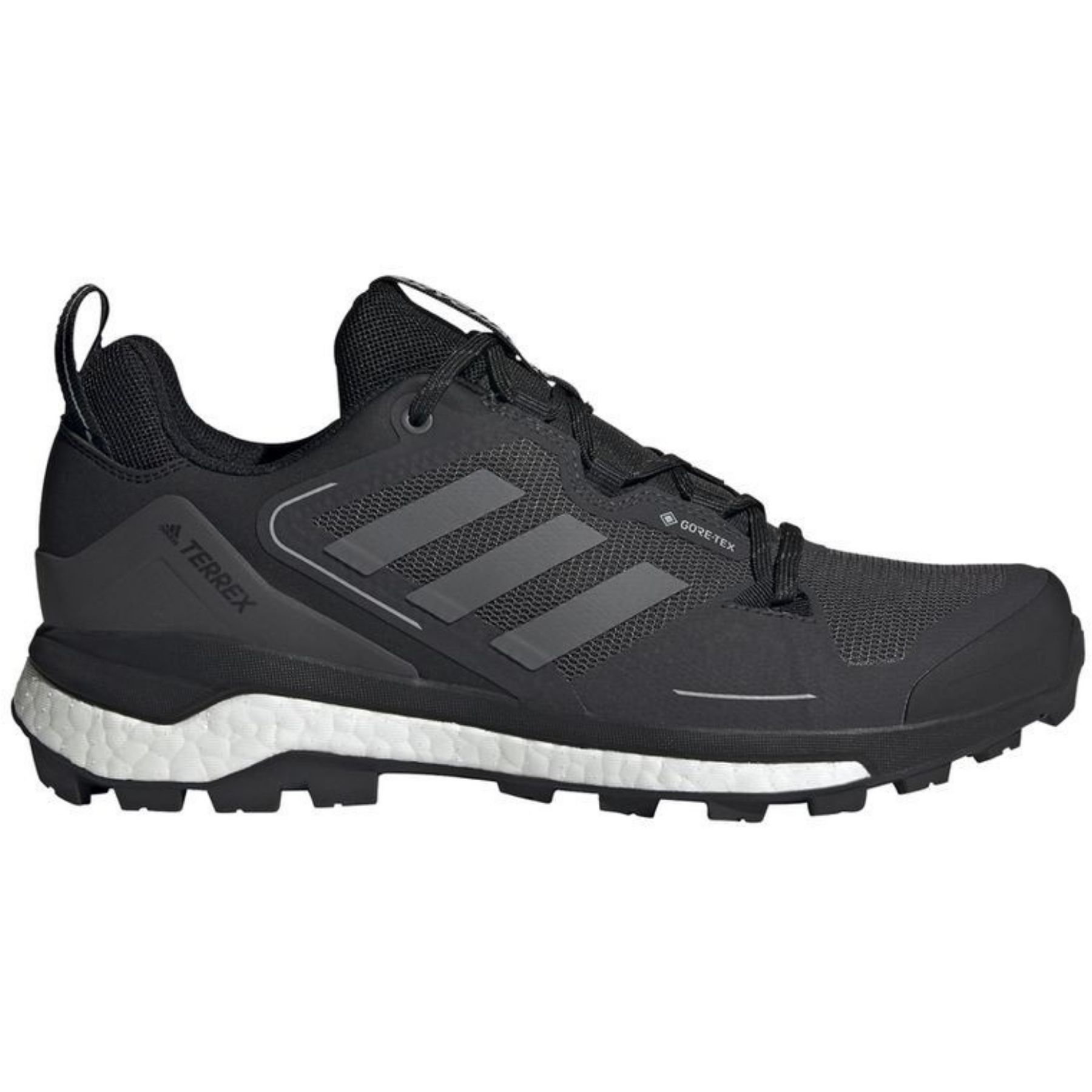 Adidas Terrex Skychaser 2 GTX - Walking shoes - Men's