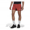 Adidas Terrex Trail Short - Trail running shorts - Men's