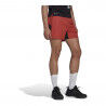 Adidas Terrex Trail Short - Trail running shorts - Men's